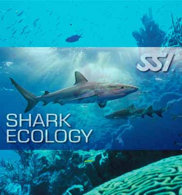 SHARK ECOLOGY